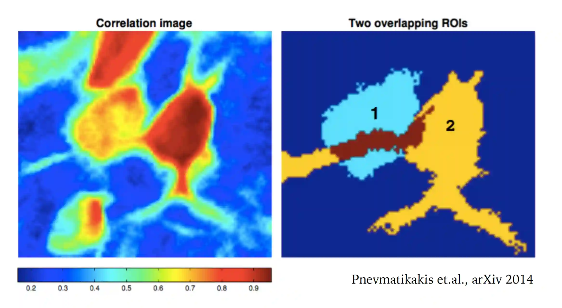 Neural Imaging-20250805212727899
